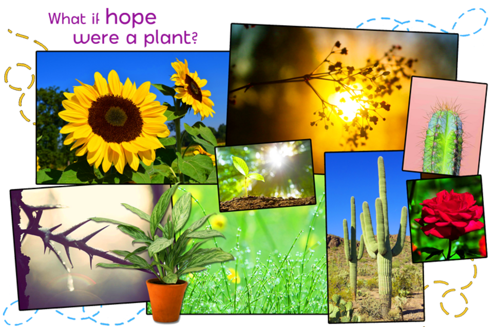 What if hope were a plant?